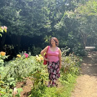 In the rose garden