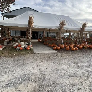 a tent with pumpkins and corn