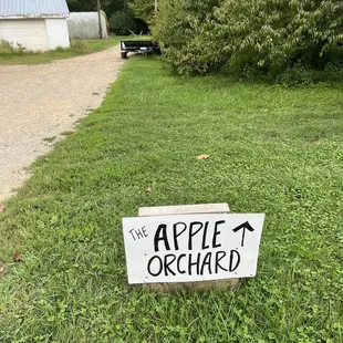 Apple Orchard
