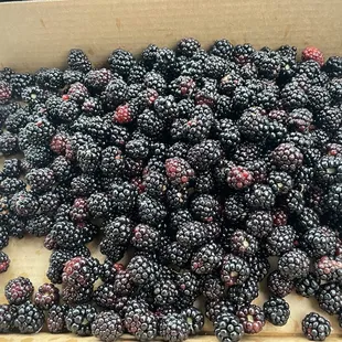Blackberries that I picked at the McGlasson Farms. It was back to nature.