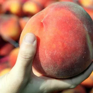 Home-grown peaches!