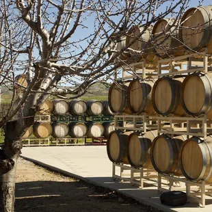 barrels stacked on a rack