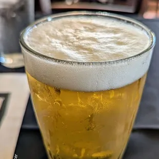 Metozoa nap in the hammock lager