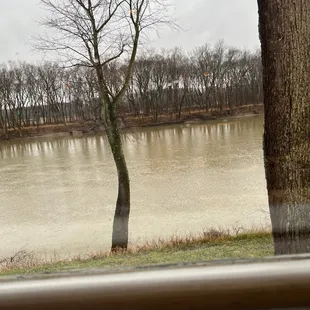 View of the river from our table.