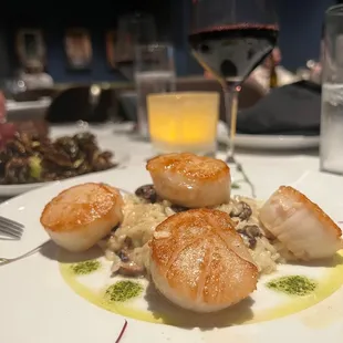 Scallops
