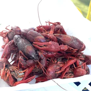 Crawfish boil season