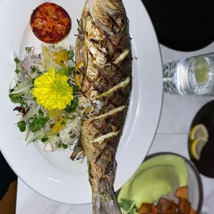 Branzino