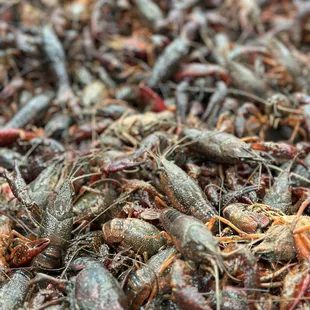Love Crawfish