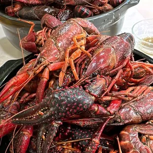 Fresh Crawfish