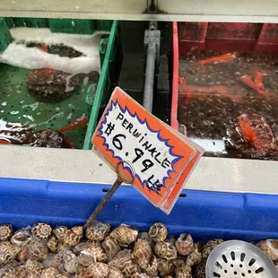 a display of various types of fish
