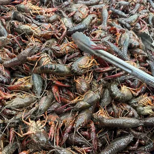 Crawfish