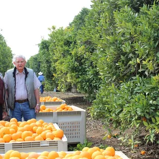 Farmer Bob posing in the groves with a friend.