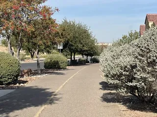 Pat O'Rourke Memorial Trail