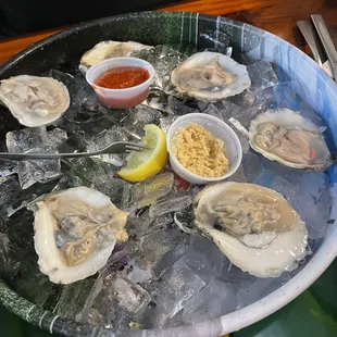 Half dozen Fresh Oysters