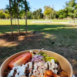 Beef &amp; lamb gyro bowl from gyna gryo down Alhambra just past L Street. Beautiful day at the park! 10-18-23