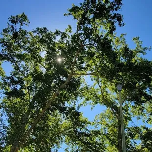 Sun's peaking through