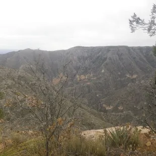 McKittrick Ridge Campsite