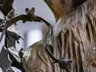 Carlsbad Caverns National Park Visitors Center