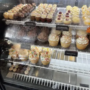 Cupcake case