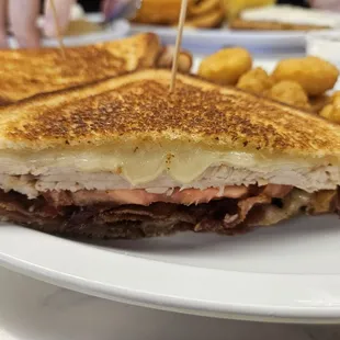 Turkey melt looks yummy