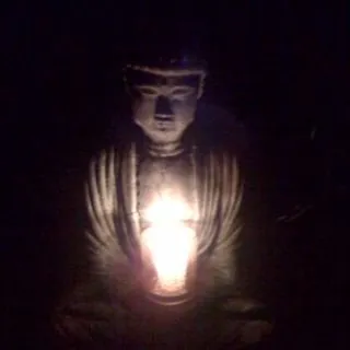 Mike M.