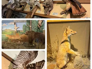 Oak Grove Regional Park