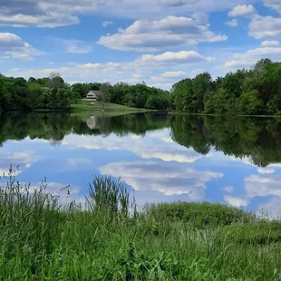 Beauty at McNeely lake