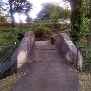 Crossing bridge leading to various paths.