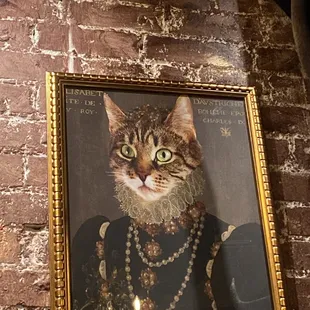 a portrait of a cat