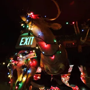 Somebody Played Real-Life Buck Hunter.