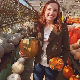 Unique variety of Pumpkins