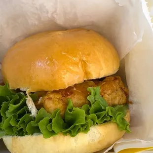 Chickrn Md Chicken Burger