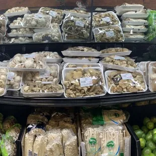 Huge mushroom selections