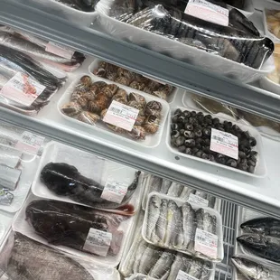 Snails, fish and shellfish