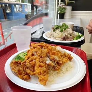 Fried chicken rice &amp; steamed chicken rice