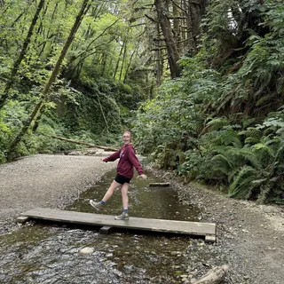 Alyssa M.