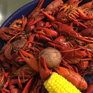 Best crawfish on the bayou!!!!