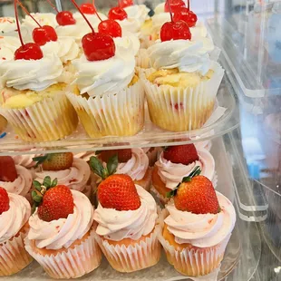 a display of cupcakes
