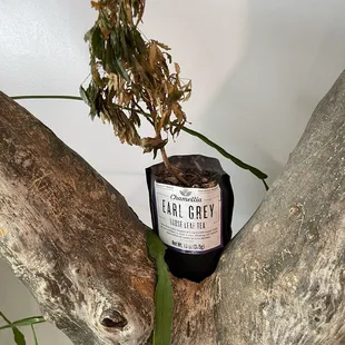 Indoor Decoration