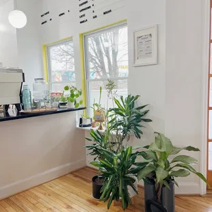 a view of a coffee shop