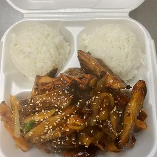 E5 Spicy Chicken Teriyaki