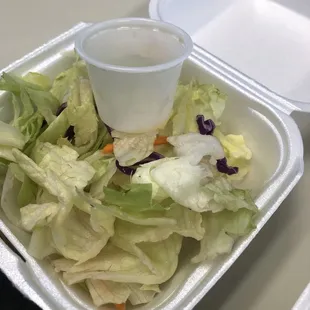 Salad with dressing cup