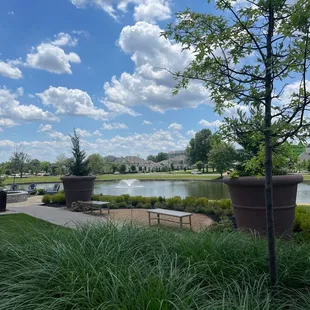 Meadowbrook Park ponds on a beautiful sunny day!