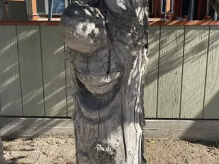 Philip Marx Central Park