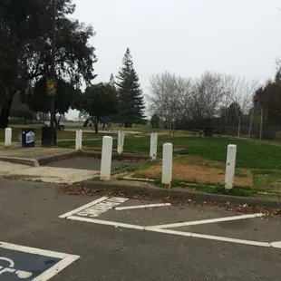 Close to freeway if you need spot to pull off and let the puppies stretch their legs and get a sip of water