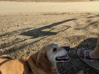 Sutters Landing Dog Park