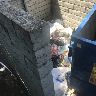 Its a everyday thing here piterally and there are 3 big dumpsters . Management doesnt care