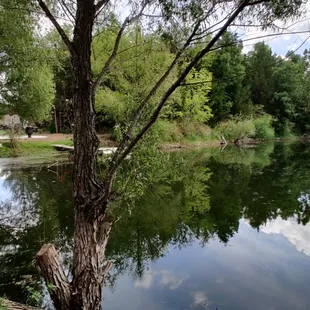 The cabin from across the lake
