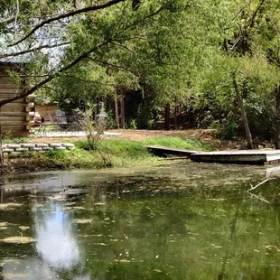 The cabin from across the lake