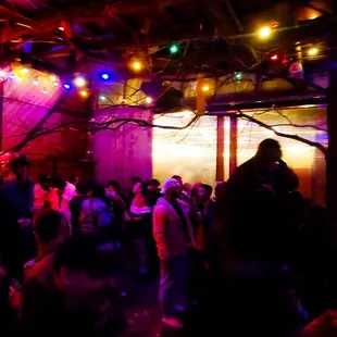 a large group of people dancing